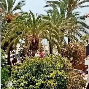 Beach Old Town Appartement